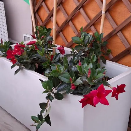 Casa Bellavista * Campagna